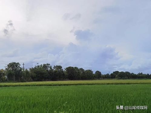 确山全网爆火的10大网红景点！本地人私藏攻略+出片圣地大公开