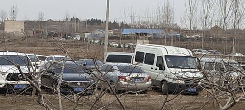 确山全网爆火的10大网红景点！本地人私藏攻略+出片圣地大公开