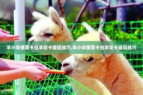 长治市民的羊咩咩金融服务，羊小咩便荔卡取现全攻略