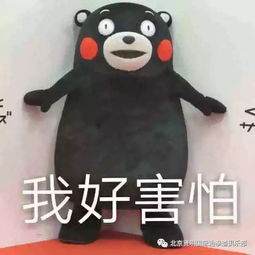 鸭绒被缩水变形？别慌！三步教你搞定缩水危机
