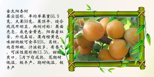装修公司品牌代理费用概览