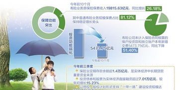 揭西母婴品牌，创新与责任并重，守护母婴健康