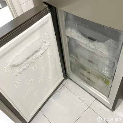 瑕疵品牌小冰箱避坑指南，这些小家电可能暗藏隐患，附品牌对比与真实案例