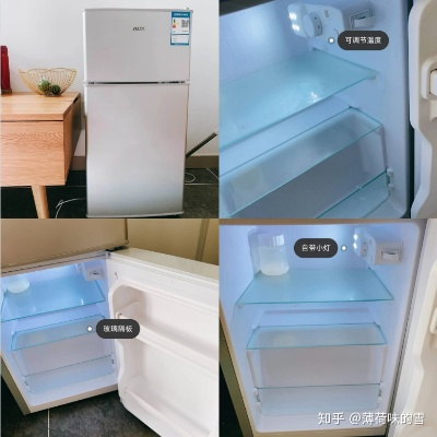 瑕疵品牌小冰箱避坑指南，这些小家电可能暗藏隐患，附品牌对比与真实案例