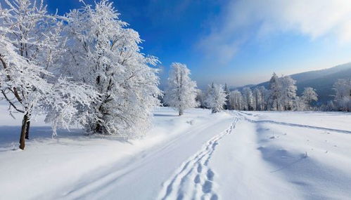 手机也能拍出绝美雪景！乡村雪天拍摄全攻略