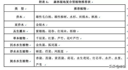 羊小咩便荔卡取现审核制度详解，一篇文章带你了解全过程