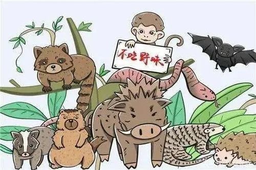 羊小咩便荔卡提现天津攻略，详细步骤与案例解析