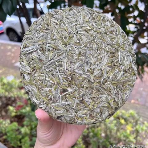 福鼎白茶加盟连锁品牌店推荐