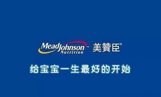 热门零售品牌加盟指南