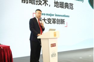 大自然家居品牌总监的环保理念与实践
