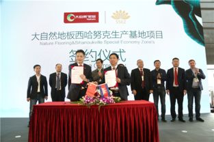 大自然家居品牌总监的环保理念与实践