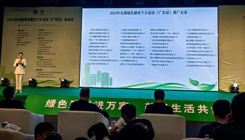 大自然家居品牌总监的环保理念与实践