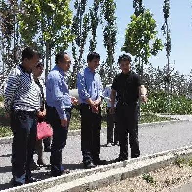 沣西智慧管廊招标全攻略，地址查询、流程解析与避坑指南