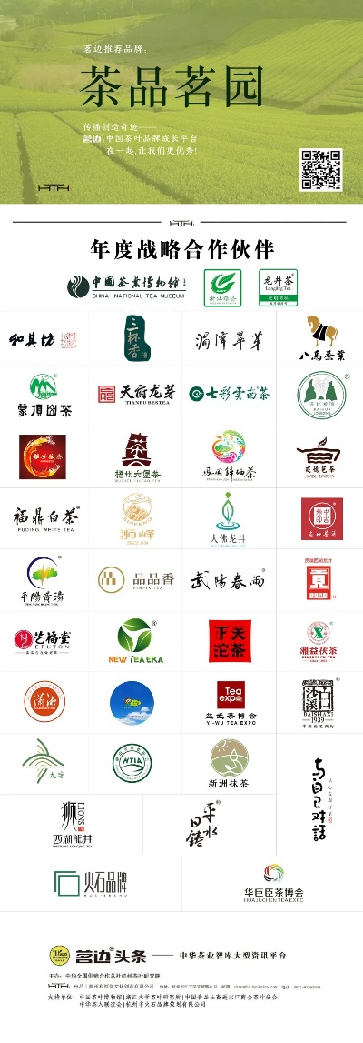 叙永白茶品牌全解析，从传统到创新，这些品牌让你喝出山野风味