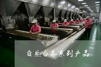 叙永白茶品牌全解析，从传统到创新，这些品牌让你喝出山野风味