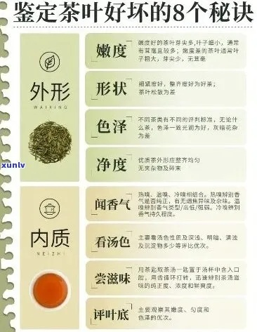 朵儿品牌茶叶好不好喝？一篇实测报告+用户真实反馈全解析