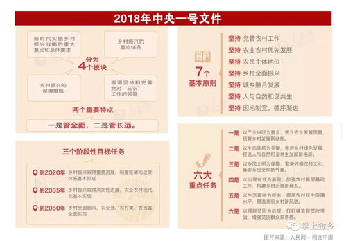 乡村振兴如何走深走实？三个关键点+五个案例+一张表格全解析