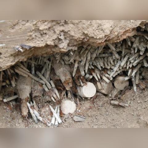 东北老工业基地的液体黄金—黑龙江52度白酒品牌发展全解析