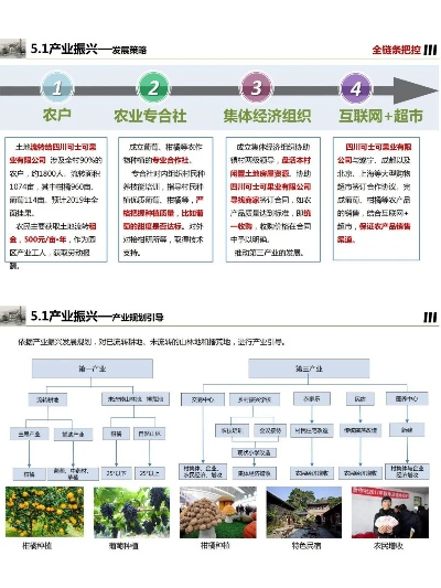 乡村振兴项目管理全攻略，从规划到落地的关键步骤