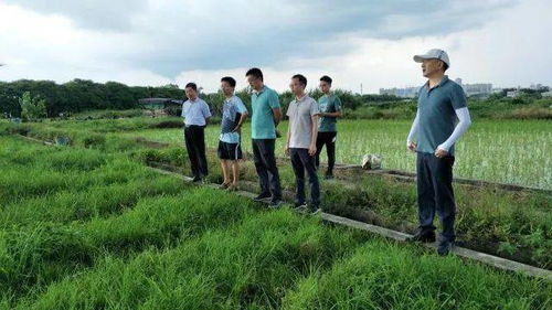 2023乡村振兴成绩单，从田间地头到幸福乡村的三大突破