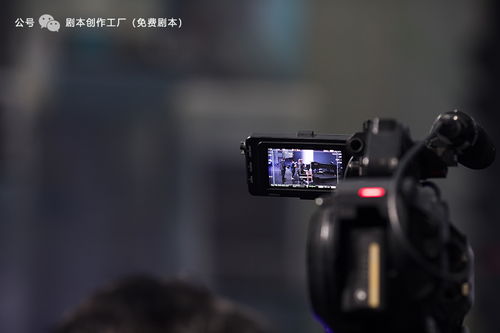 全民TV不露脸直播全攻略，隐私保护与创意表达的完美平衡