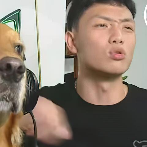 品牌车女主播，从零到百万粉的实战指南