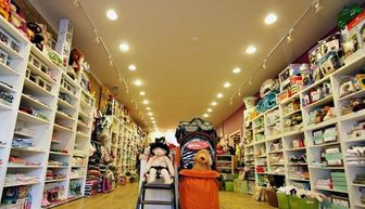 莲湖区亲子早教加盟店成功案例解析
