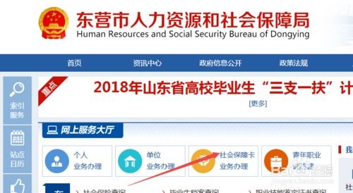 东营羊小咩便荔卡取现额度查询全攻略
