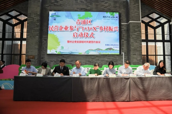 民营企业参与乡村治理的实践路径与案例解析