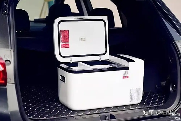 冰箱+汽车=新生活？盘点带冰箱的纯电动车型及选购指南