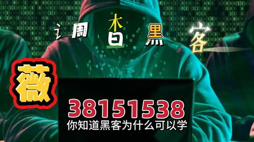 顶级黑客24小时接单，你的安全守护者