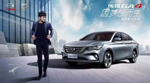 大气品牌车，设计、科技与实力的完美融合