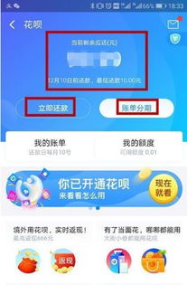 花呗提现全解析，店铺主必看的避坑指南