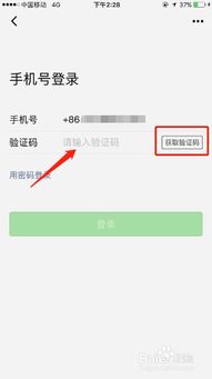掌握微信聊天记录查询技巧