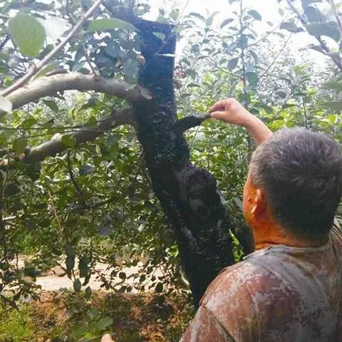 得物佳物分期额度兑现指南