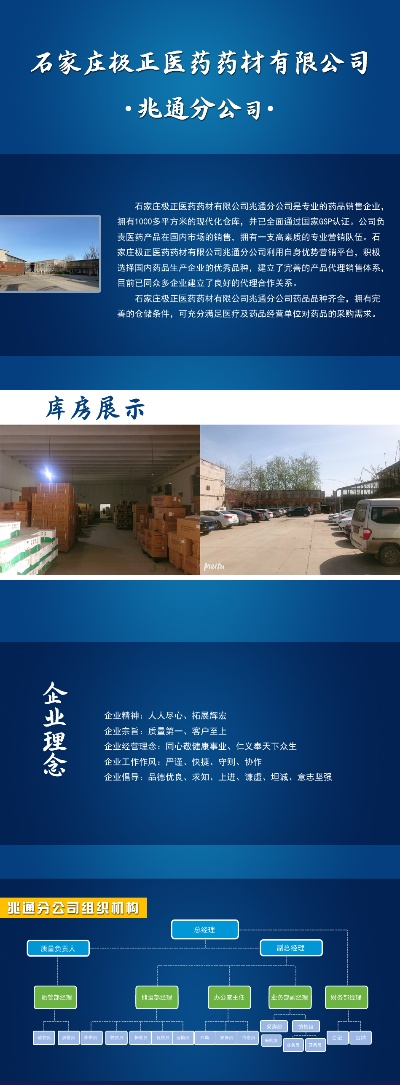 石家庄医药品牌概览
