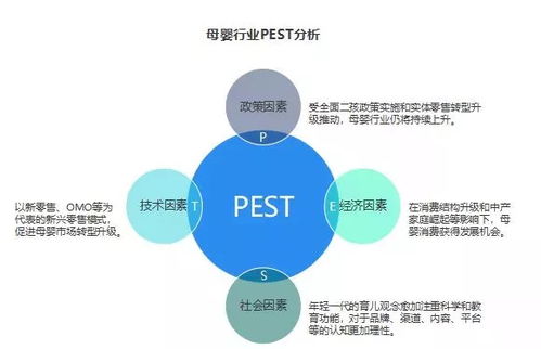 母婴市场多元化，品牌选择与消费者指南