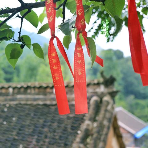 乡村旅游爆火背后的秘密，从政策到流量，看中国乡村如何逆袭成网红