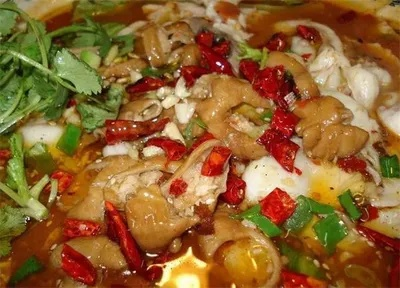 自贡肥肠鱼加盟品牌大全，探秘正宗美味之路
