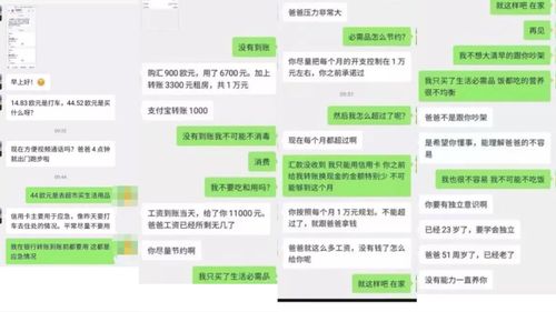 盗取他人微信聊天记录的非法行为与后果