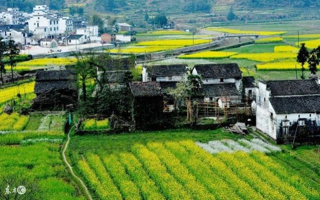 黟县乡村振兴示范县创建全攻略，从古村活化到产业升级的实践之路