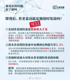 白条提现最新政策解读，费率调整、提现渠道变化与避坑指南