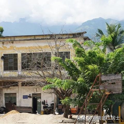 代工厂加盟海南热门品牌推荐