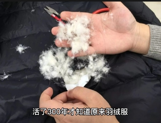 鸭绒被跑绒的罪魁祸首大揭秘，从选购到保养全攻略