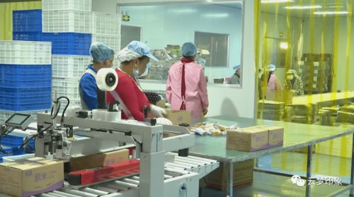余杭地区电脑回收服务概览
