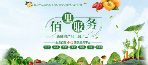 蔬菜广告网站，让新鲜蔬菜走出田间，走进千家万户的实用指南