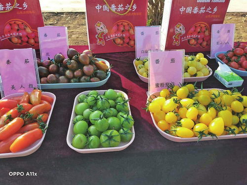 蔬菜广告网站，让新鲜蔬菜走出田间，走进千家万户的实用指南
