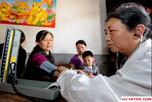 周口郸城乡村医生待遇现状，收入、挑战与未来展望