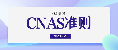 店用花呗可以提现吗？深度解读花呗使用规则与注意事项