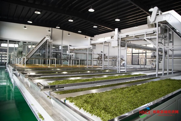 茶叶机械品牌全解析，从传统到智能的产业升级之路